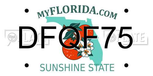DFQF75 Florida License Plate