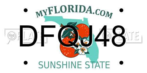 DFQJ48 Florida License Plate
