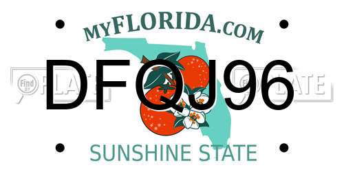 DFQJ96 Florida License Plate