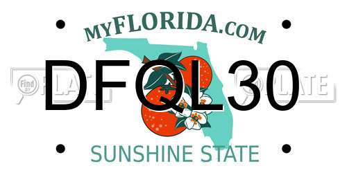 DFQL30 Florida License Plate