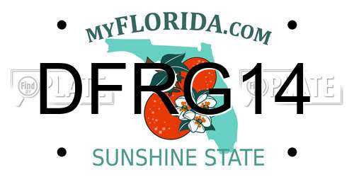 DFRG14 Florida License Plate