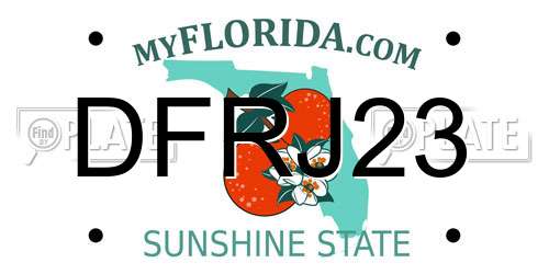 DFRJ23 Florida License Plate