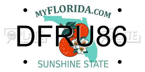 DFRU86 Florida License Plate