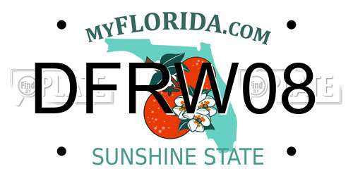 DFRW08 Florida License Plate