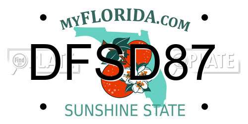 DFSD87 Florida License Plate