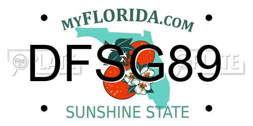 DFSG89 Florida License Plate