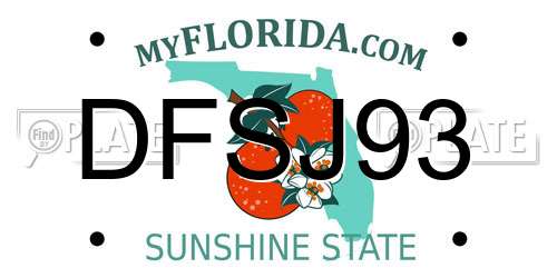 DFSJ93 Florida License Plate