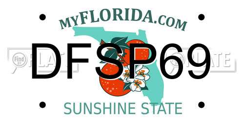 DFSP69 Florida License Plate