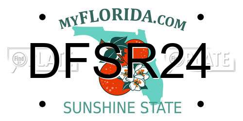 DFSR24 Florida License Plate
