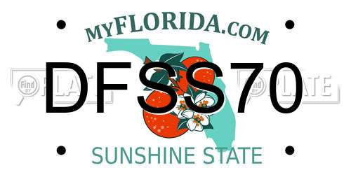 DFSS70 Florida License Plate