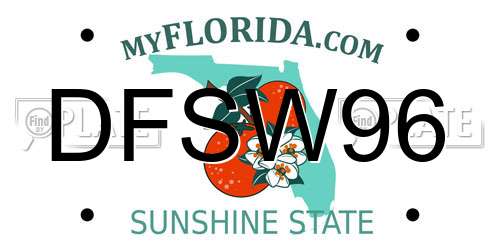 DFSW96 Florida License Plate