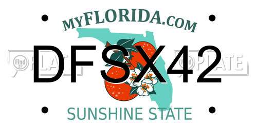 DFSX42 Florida License Plate