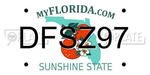 DFSZ97 Florida License Plate