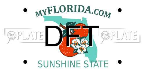 DFT Florida License Plate