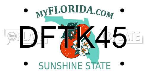 DFTK45 Florida License Plate