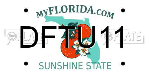 DFTU11 Florida License Plate