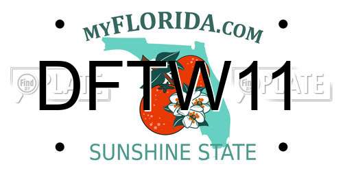DFTW11 Florida License Plate
