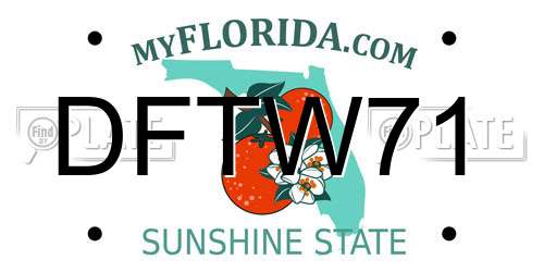 DFTW71 Florida License Plate