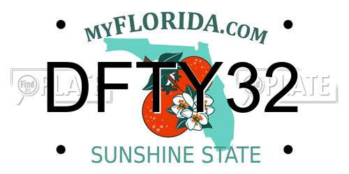 DFTY32 Florida License Plate