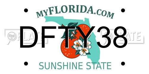 DFTY38 Florida License Plate