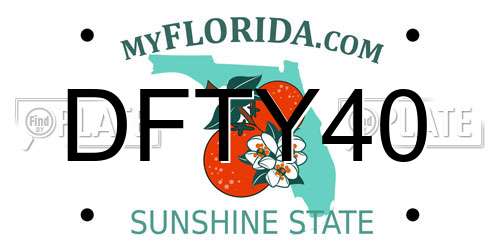 DFTY40 Florida License Plate