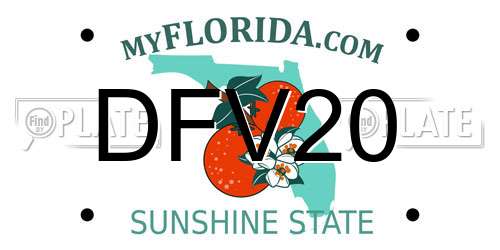 DFV20 Florida License Plate