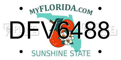 DFV6488 Florida License Plate