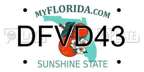 DFVD43 Florida License Plate