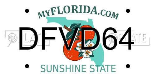 DFVD64 Florida License Plate