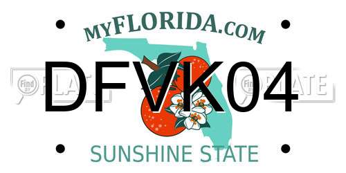 DFVK04 Florida License Plate
