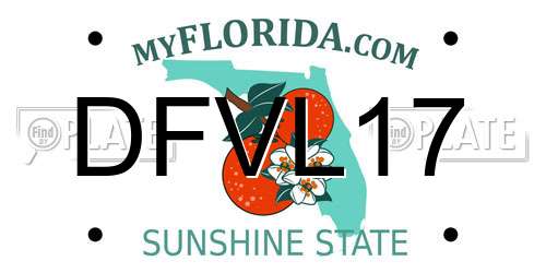 DFVL17 Florida License Plate