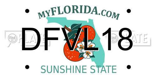 DFVL18 Florida License Plate