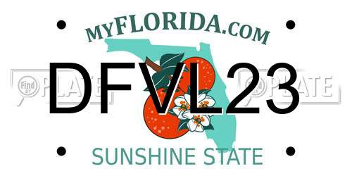 DFVL23 Florida License Plate