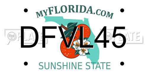 DFVL45 Florida License Plate