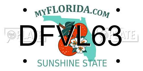 DFVL63 Florida License Plate