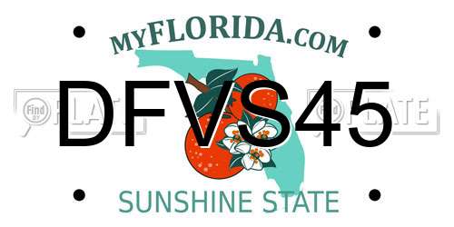 DFVS45 Florida License Plate