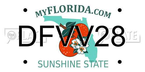 DFVV28 Florida License Plate