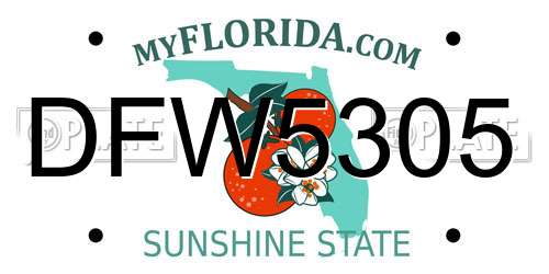 DFW5305 Florida License Plate