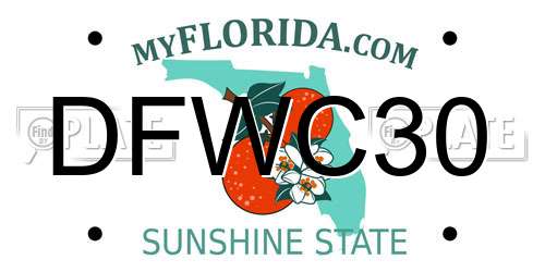 DFWC30 Florida License Plate