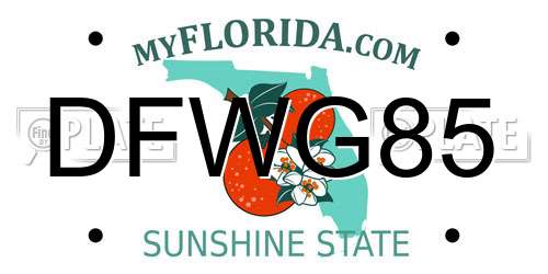 DFWG85 Florida License Plate