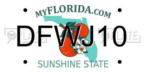 DFWJ10 Florida License Plate