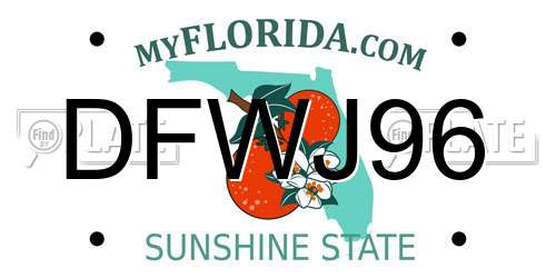 DFWJ96 Florida License Plate