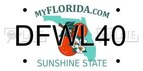DFWL40 Florida License Plate
