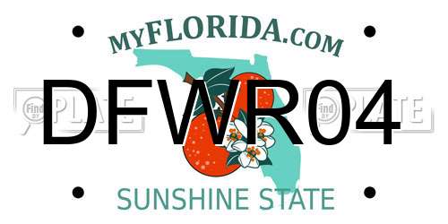 DFWR04 Florida License Plate