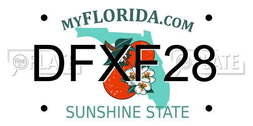 DFXF28 Florida License Plate