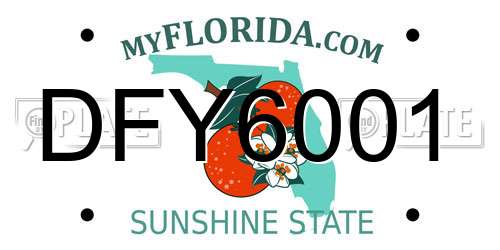 DFY6001 Florida License Plate