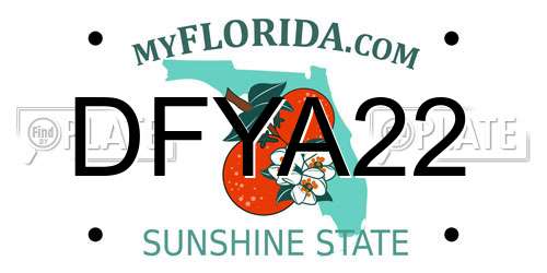 DFYA22 Florida License Plate