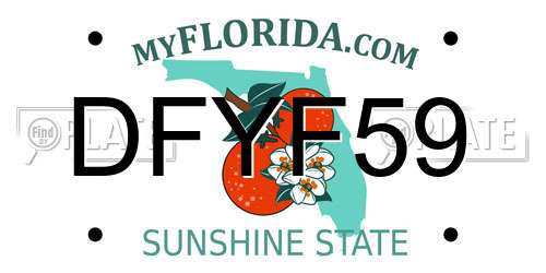 DFYF59 Florida License Plate