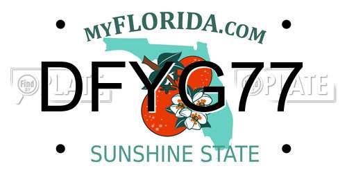 DFYG77 Florida License Plate