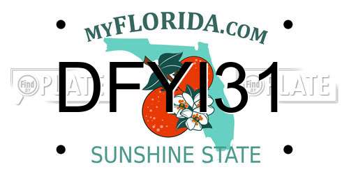 DFYI31 Florida License Plate